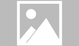 91元旦酒店直播,全景体验新年佳节魅力瞬间